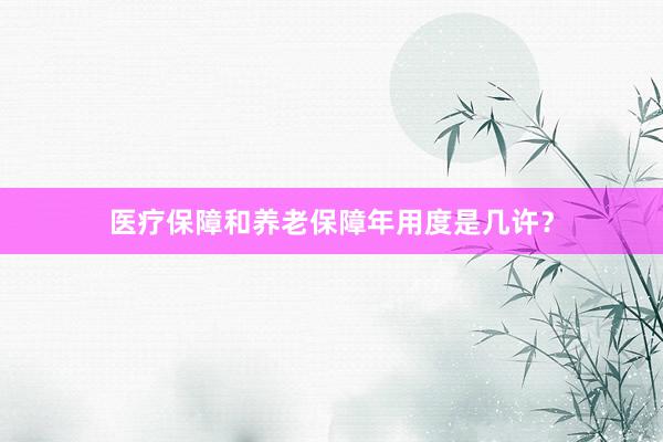 医疗保障和养老保障年用度是几许？
