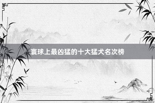 寰球上最凶猛的十大猛犬名次榜