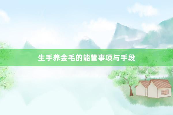 生手养金毛的能管事项与手段