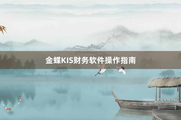 金蝶KIS财务软件操作指南